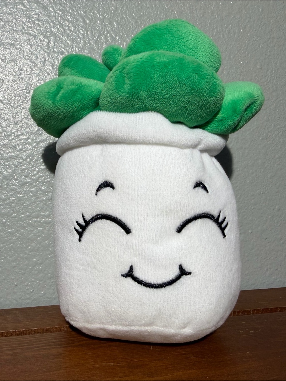 Plush Smiling Succulent Decorative Pillow - White and Green